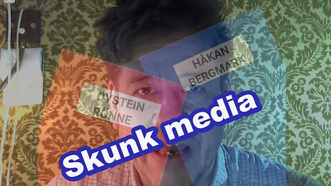 Skunkmedia - Narrativstyrning