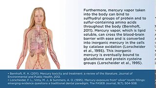 Mercury Exposure and the Human Body