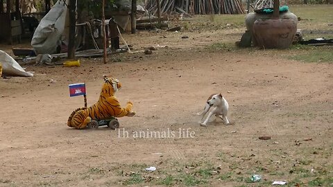 Fake Tiger Prank Dogs So Funny 2022, How To Make Fake Tiger Prank Dogs With RC Car