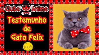 🐶🐺🐾Gato Felix Faz Um Testemunho do Curso Laços Para Pet Da Alessandra Da Fontoura | 2020 🐶🐺🐾