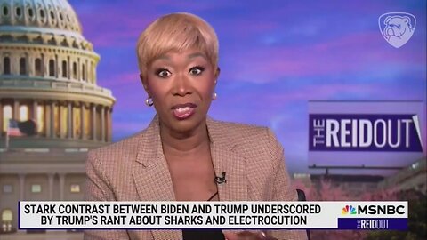 Joy Reid Flips Out Over Sinclair Busting Liberal Influence In Local News