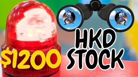 HKD Stock Update | Risk Vs Reward Factors | Is $1200 a Realistic Price Target #wallstreetbets