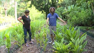 'Farmer Jack' helping South Florida residents grow food to offset rising cost of groceries