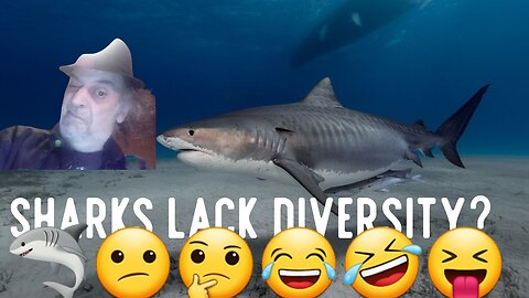 Shark Week Is Not Diverse Enough. 🦈😕🤔😂🤣😝