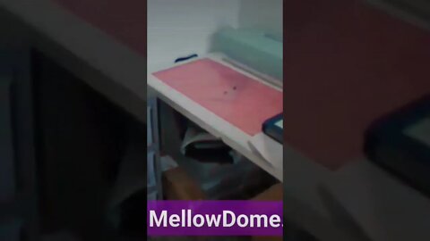 MellowDome studio & merch store!