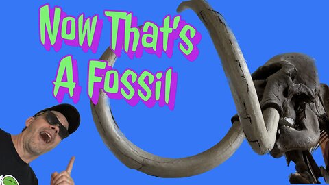 We Visit The Fossil Discovery Center