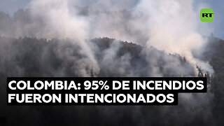 Ministro del Interior de Colombia afirma que un 95% de los incendios fueron provocados