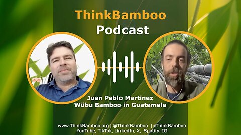 PodCast 🎙️ Juan Pablo Martinez, Wübu Bamboo in Guatemala