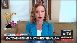 Dem Rep Wasserman-Schultz Compares Voter Integrity Laws To Communism