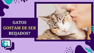 GATOS gostam de ser BEIJADOS? Eles sabem que os AMAMOS?