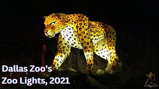 Dallas Zoo's Zoo Lights, 2021