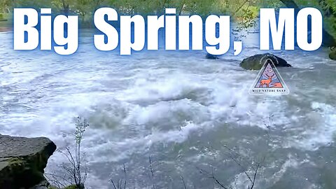 Massive Freshwater Spring in Missouri!