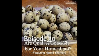S1E30 Are Quail A Good Fit For Your Homestead? With Special Guest Harold Thornbro