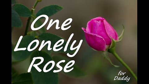 One Lonely Rose - 05/19/24 - for Daddy