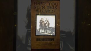 Have you seen this Wizard? #shorts #siriusblack #wizardingworld #harrypotter #universalstudios #uoap