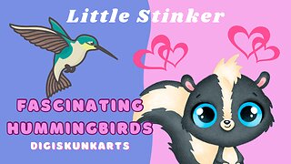 Little Stinker Shares the Fascinating Hummingbirds