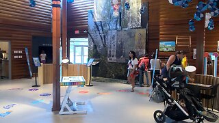 Nature Of Play Exhibit Unveiled In Lethbridge | August 10, 2023 | Micah Quinn | Bridge City News