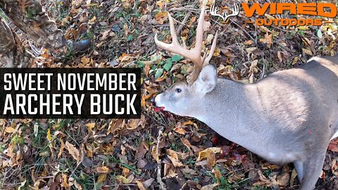 Sweet November Archery Buck