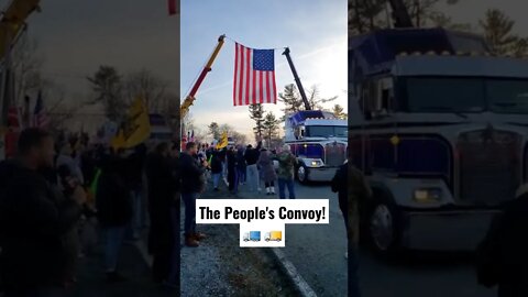 The People's Convoy! 🚚 🚛 #HonkHonk