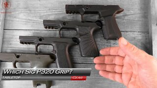 Which Sig Grip Module