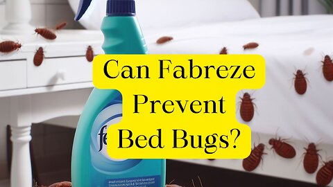 How To Use Febreze For Bed Bugs