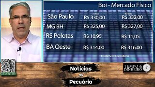 Boi gordo em SP mantém @ a R$335 e padrão China a R$350@