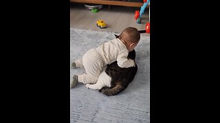 Cute baby in love with lovely Cat