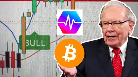 😱 Warren Buffett Bitcoin Bullish Signal - Don't Miss This PulseChain Massive Airdrop