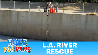 L.A. River rescue was unlike anything we've done before!