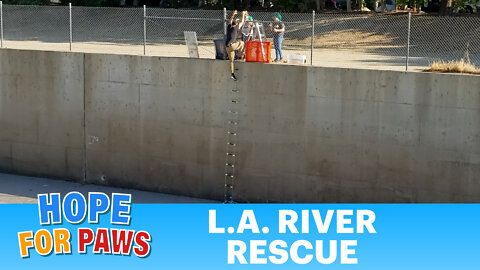 L.A. River rescue was unlike anything we've done before!