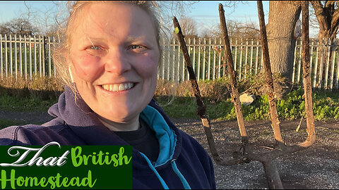 PREPARING BEDS FOR SPRING: Allotment Garden Tips for a Successful Gardening Season