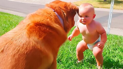 Funny Dog vs Cute Baby_ Who Will Win