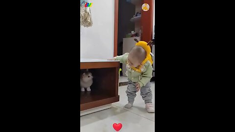fight cute cat and baby 😂