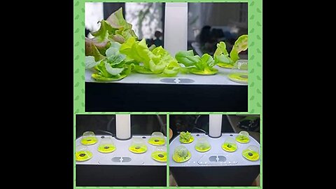 AeroGarden Harvest - With Heirloom Salad Greens Pod Kit (6-Pod)