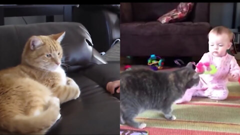 Funny Cats And Babies Playing Together ★ Animals Trolling Babies