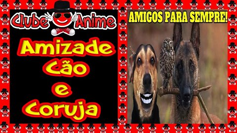 🐶🎤🎶🐾Ben- Hur e a Incrível Amizade Entre Cão e Uma Coruja🐶🎤🎶🐾 CLUBE DO ANIME GERAÇÃO OURO|2020