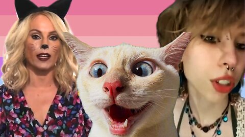 Catural Appropriation: Can Cat Be A Gender?