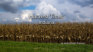 Harvest Time Indiana