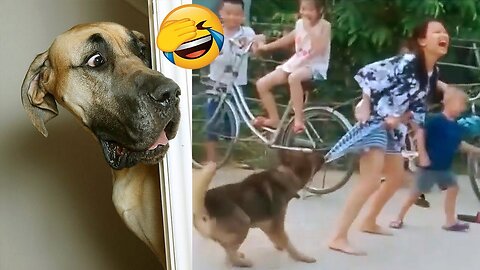 funny dog videos, kindly subscribe this channel for more videos