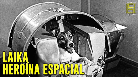 Laika, La Controversial Historia De La Perrita Astronauta