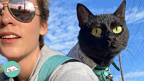 Cat Was Bored In City Until Girl Took Him Hiking | Furry Buddies