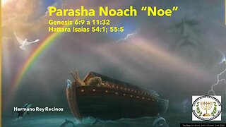 Parasha Noach "Noe"