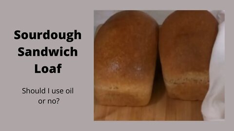 Sourdough sandwich bread, oil or no?