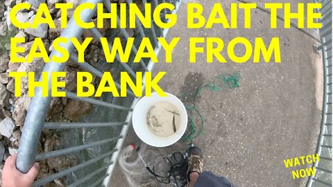 Catching Bait The Easy Way At Neely Henry.