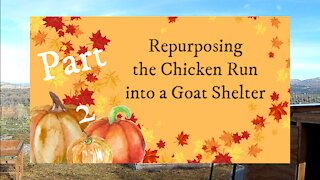 Part 2: Repurposed Goat Shelter Build