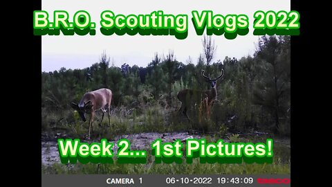 B.R.O. Scouting Vlogs 2022! Week 2 (1st Pictures!)