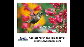 Hummingbird Garden Rohrersville Maryland Landscape Company