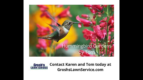 Hummingbird Garden Rohrersville Maryland Landscape Company