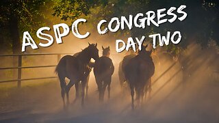ASPC Congress Horse Show (July 25th)