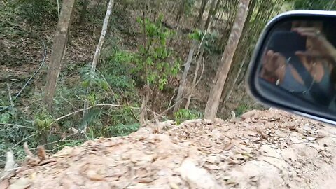 Chiang Mai Elephants Scary Drive